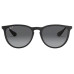 RAY BAN ERIKA POLARIZADO RB4171 622/T3